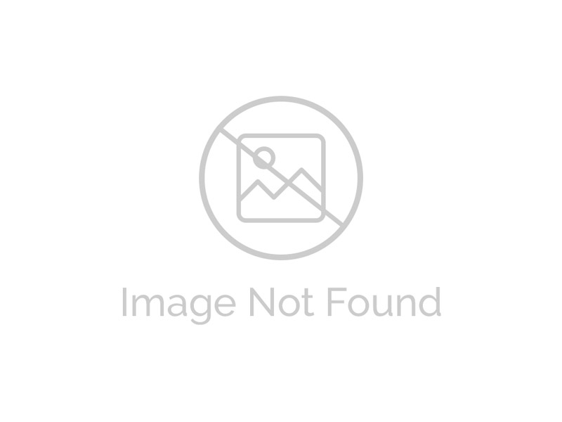 EM053 Garden Chair with multi-painted battens